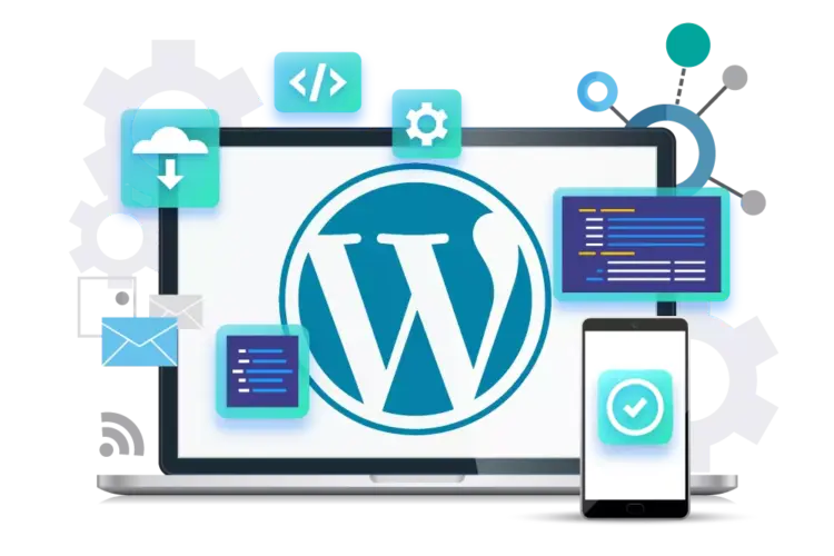 customised wordpress development