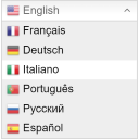 GTranslate GTranslate