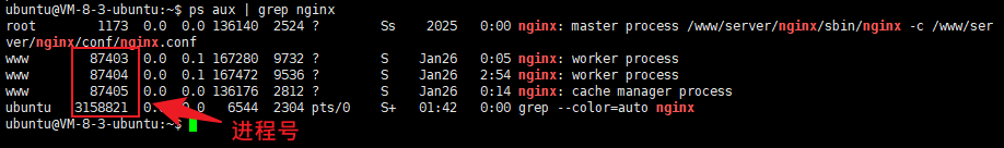 服务器运维Linux 命令:30个 VPS 主机常见问题及解决方法(新手站长必备) 5 server kill 9