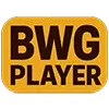 WordPress 主机推荐外贸建站与实战教程 6 bwgplayer logo 100
