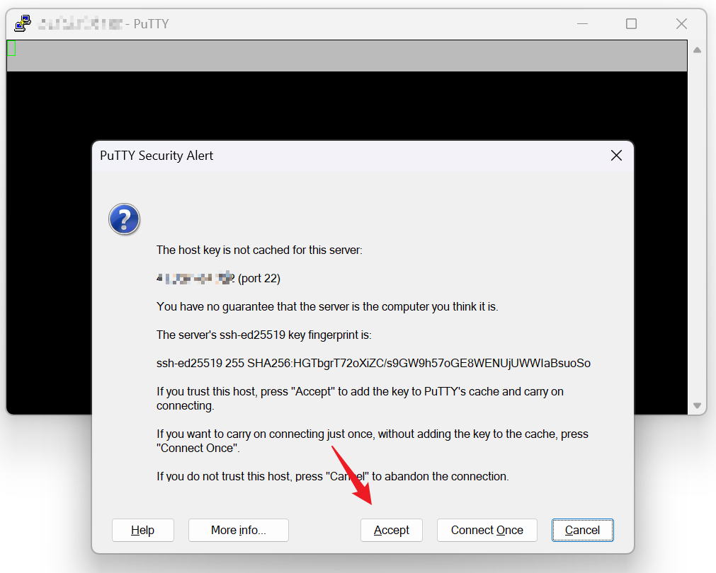 PuTTY使用教程:从密码登录到密钥免密连接VPS 4 putty basic login 1