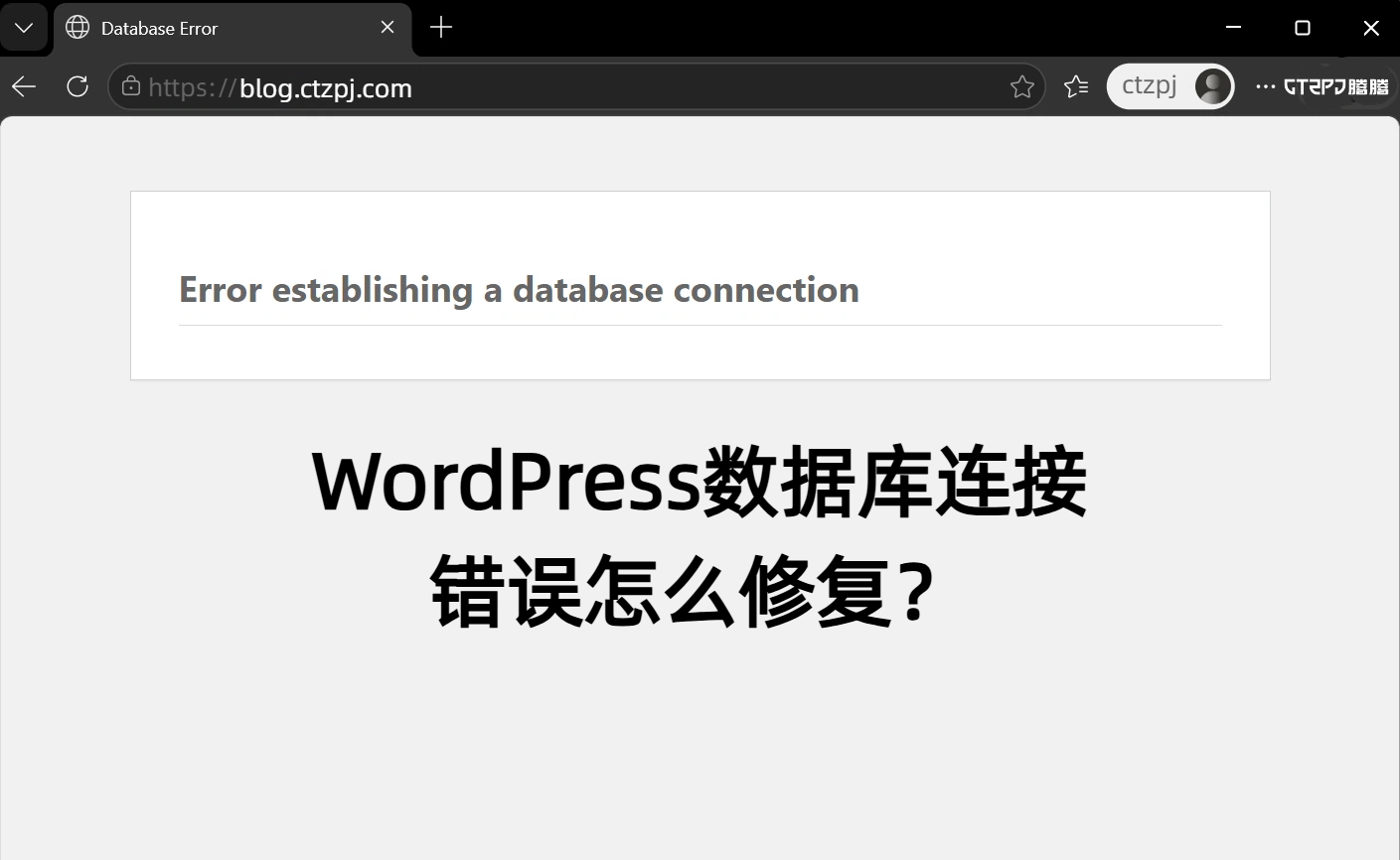 wordpress-error-establishing-database-connection-fix